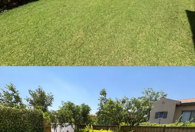 99120787 - Property Image 2