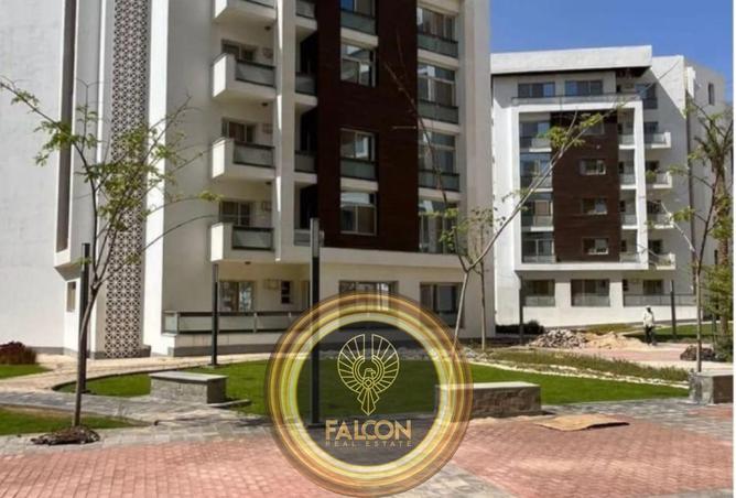 66694416 - Property Image 3