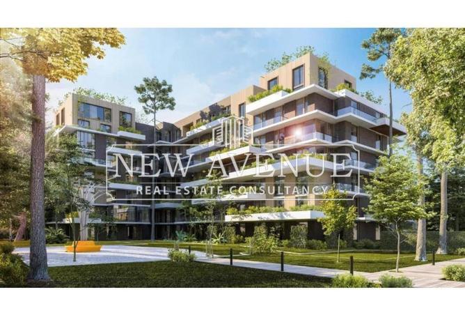 64638455 - صورة العقار 2