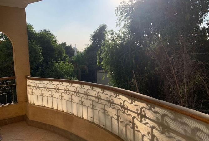 66436923 - صورة العقار 3