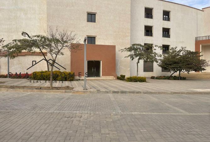 64135977 - صورة العقار 3