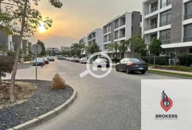 87517492 - Property Image 3