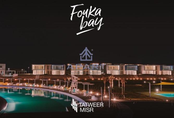 52974991 - Property Image 2