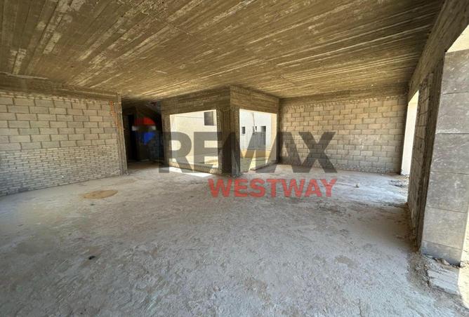 77336802 - Property Image 3