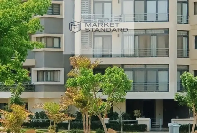 117026565 - Property Image 3