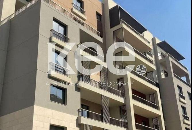 66699585 - Property Image 3