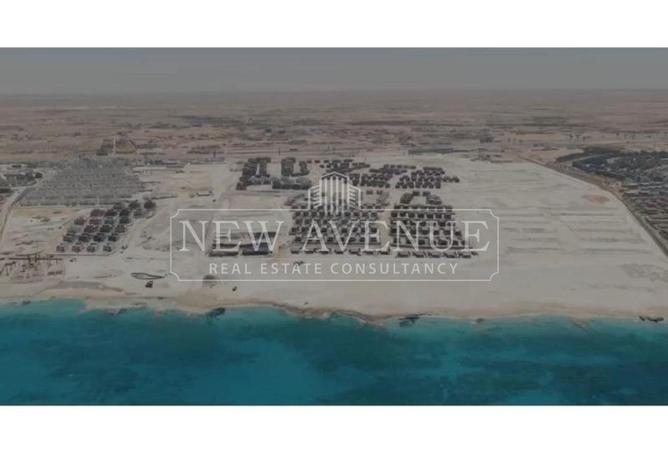 97717176 - صورة العقار 3