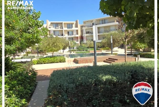 66433213 - صورة العقار 3