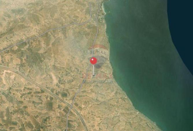 8666388 - Property Image 2