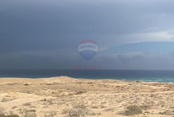 8666388 - Property Image 3