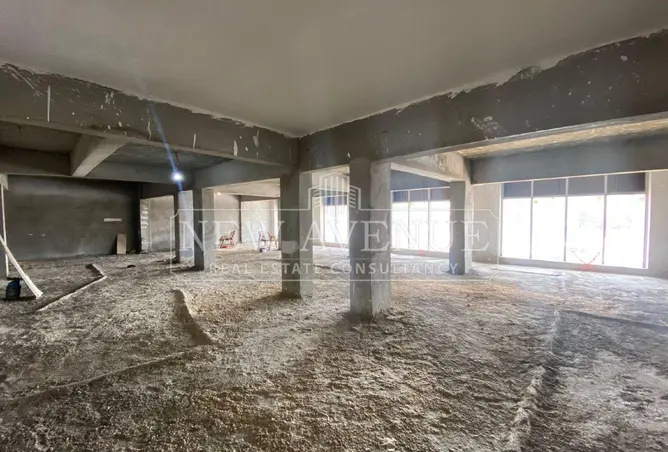 119842244 - Property Image 3