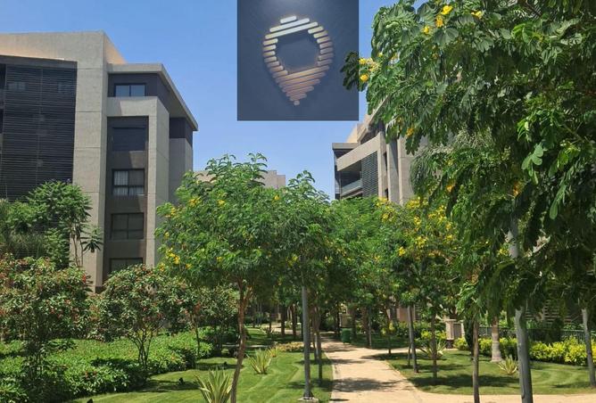 93538509 - الصورة الرئيسية للعقار