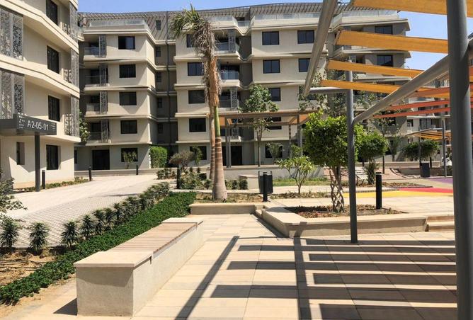 58986084 - صورة العقار 3