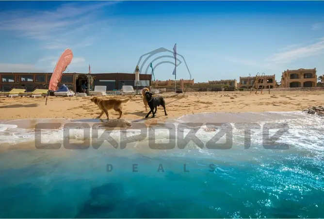 109628367 - صورة العقار 3