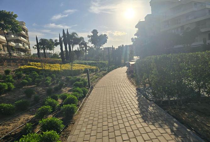 67997351 - صورة العقار 3