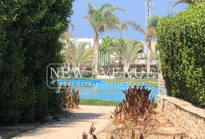 63392201 - صورة العقار 2