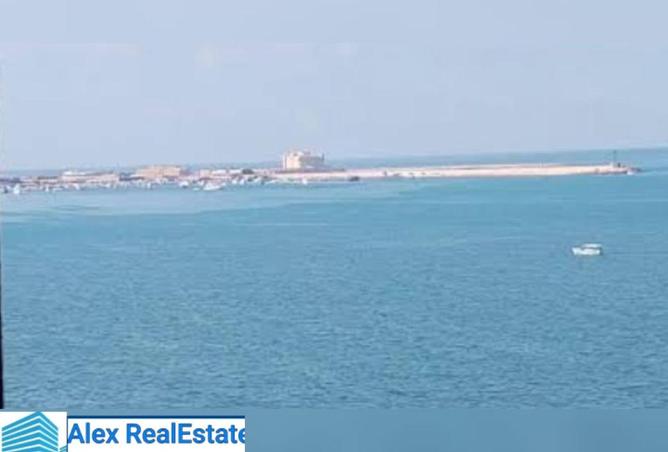 8593236 - Property Image 2