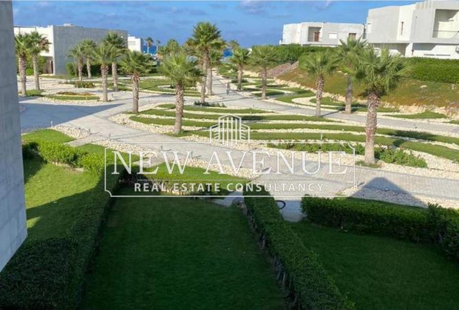 63135370 - Property Main Image