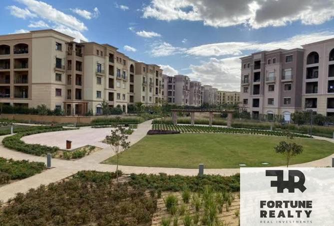 53478963 - Property Image 3