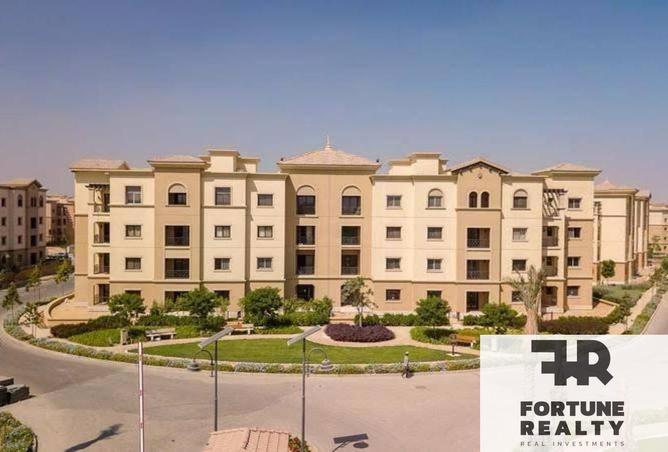 53478963 - Property Image 2