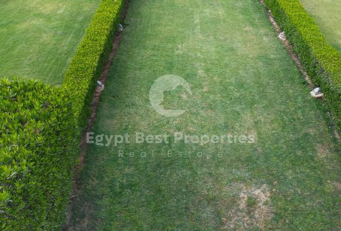 54233291 - Property Image 3