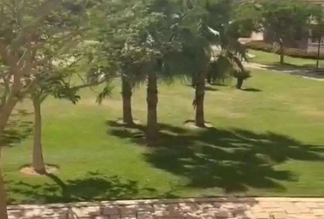 116745990 - صورة العقار 2