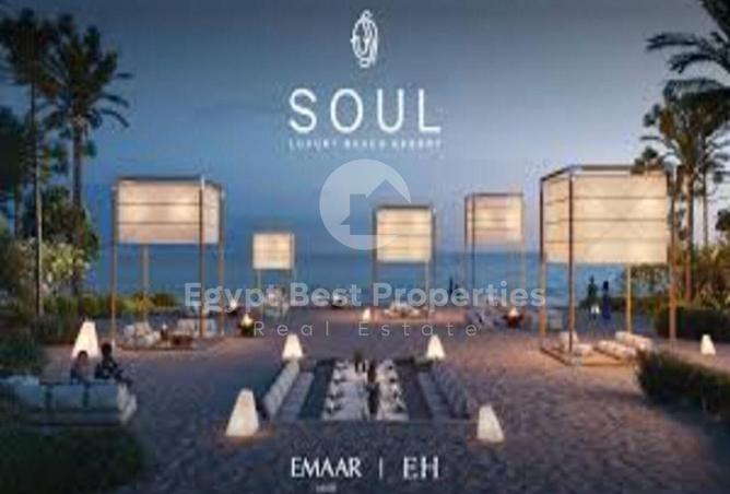 57492735 - Property Image 2