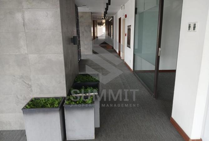 66429394 - صورة العقار 3