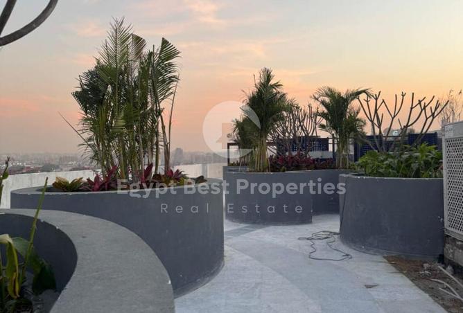 8598575 - Property Image 3