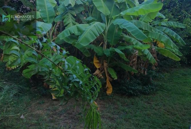 8671605 - Property Image 2