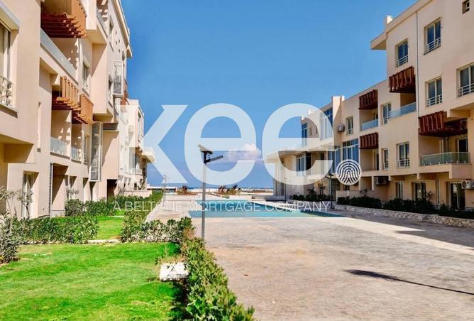 101778834 - Property Image 2