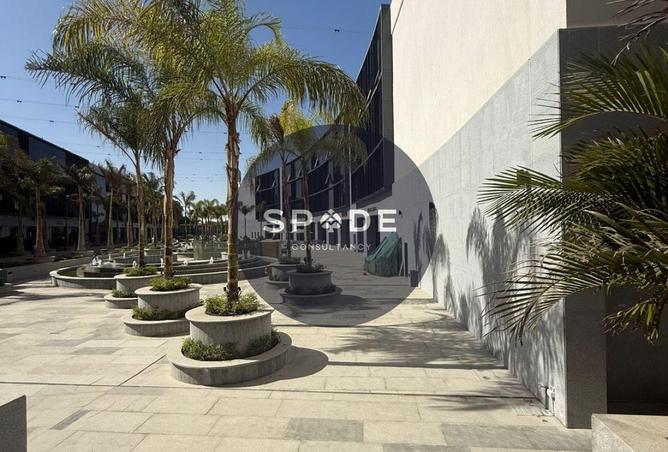 66437282 - Property Image 2