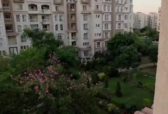 120357223 - Property Image 3