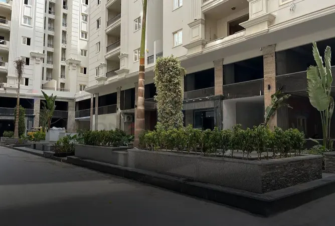 95488055 - Property Image 3