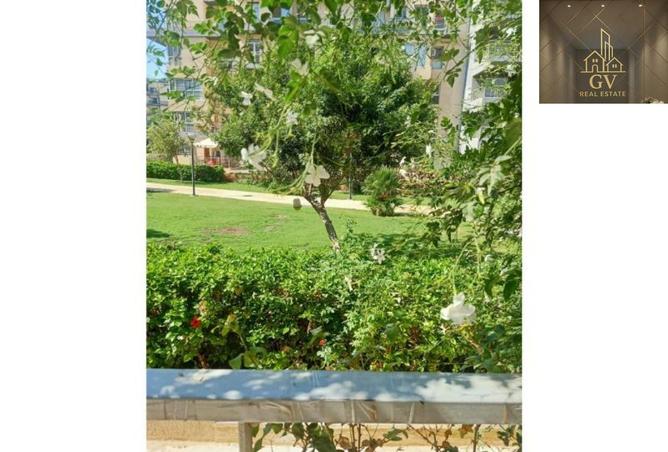 52461041 - صورة العقار 3