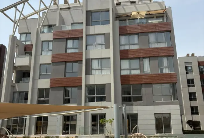 117539895 - Property Image 3
