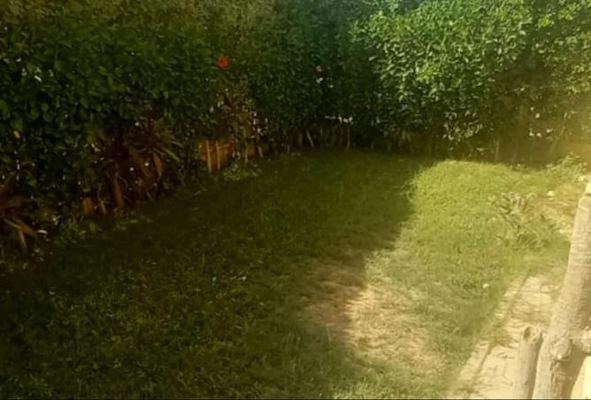 103475886 - Property Image 3