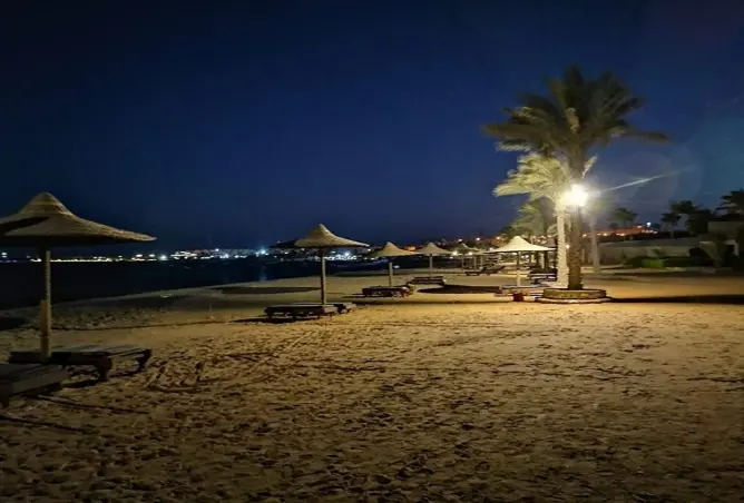 115165828 - صورة العقار 3