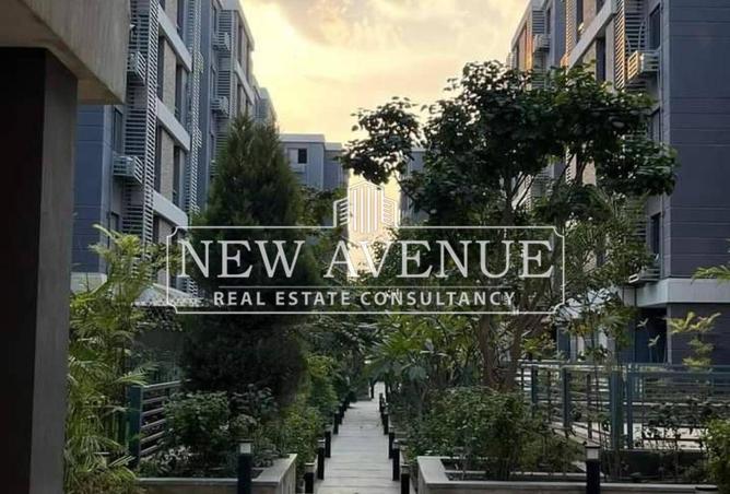 68527101 - Property Image 3