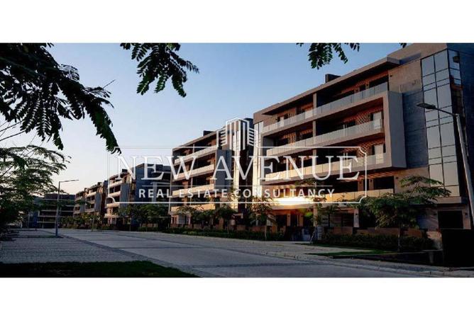 8664485 - Property Image 3