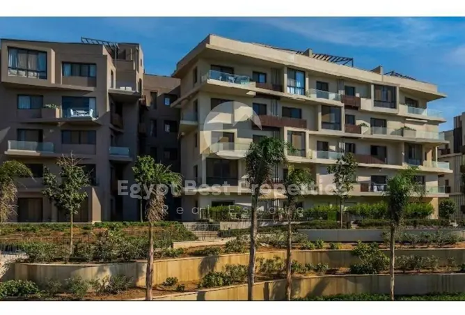 111886931 - Property Image 2