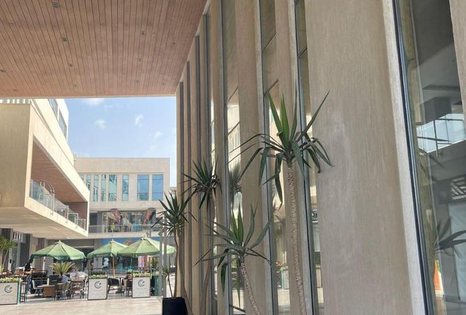 59244625 - Property Image 2