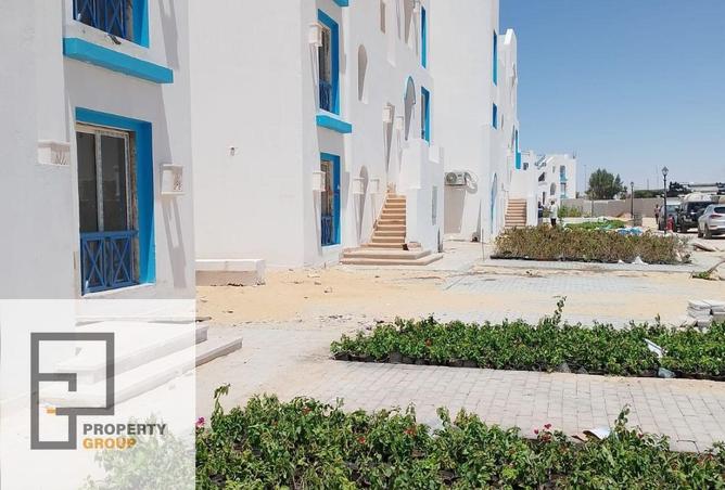 67473730 - Property Image 3