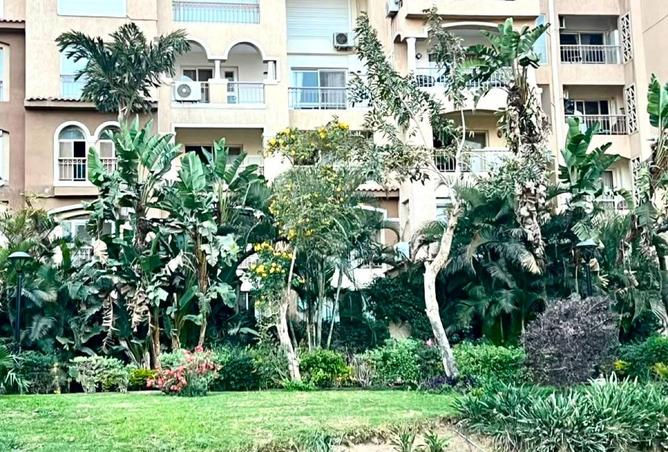 98006068 - صورة العقار 3