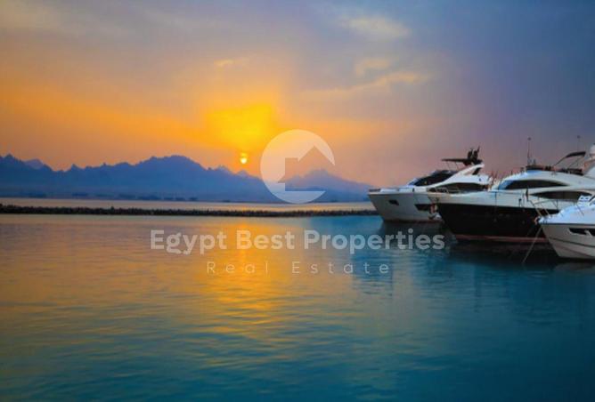 68535560 - صورة العقار 3