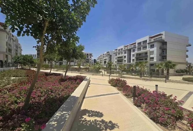 8557756 - Property Image 3