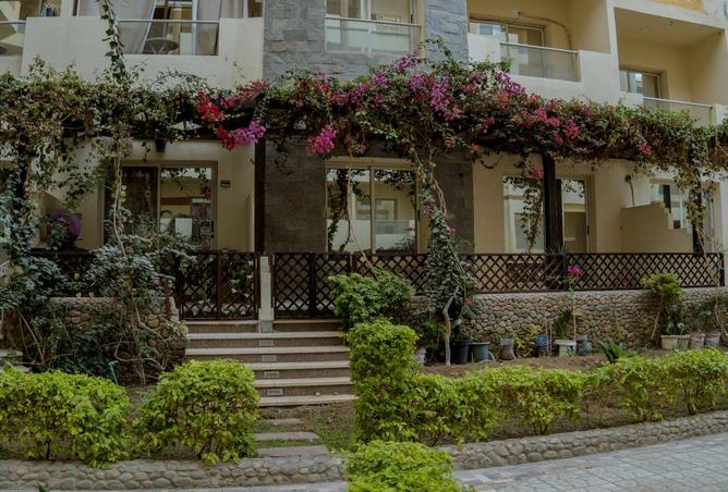 58991994 - صورة العقار 3