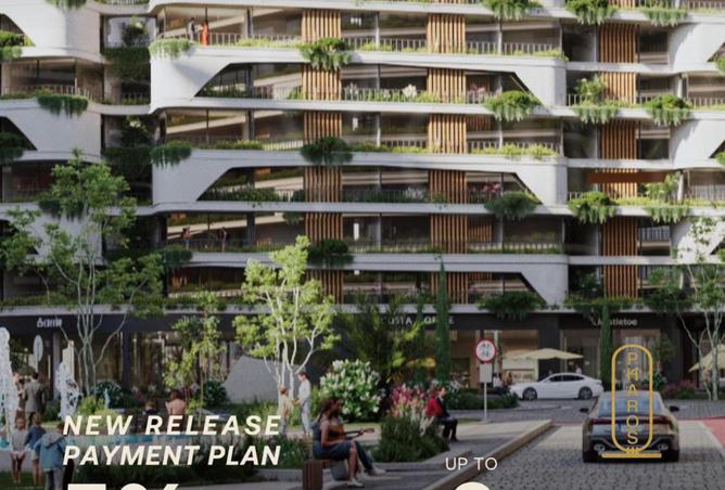 65922465 - Property Image 3