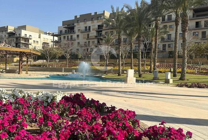 57241325 - Property Image 3