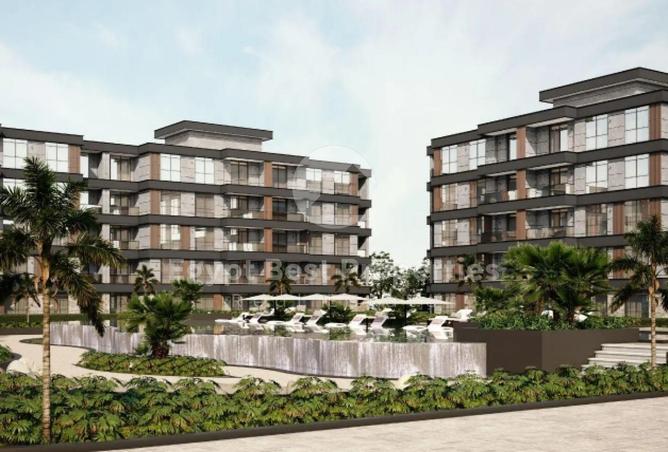 63134089 - Property Image 3